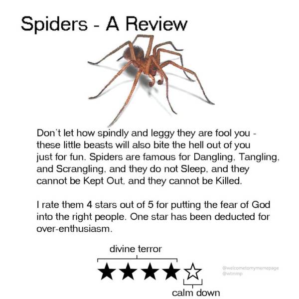 Animal Reviews (16 pics)