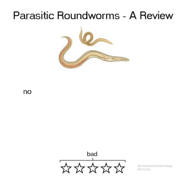 Animal Reviews (16 pics)