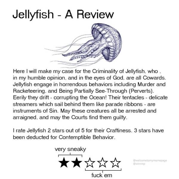 Animal Reviews (16 pics)