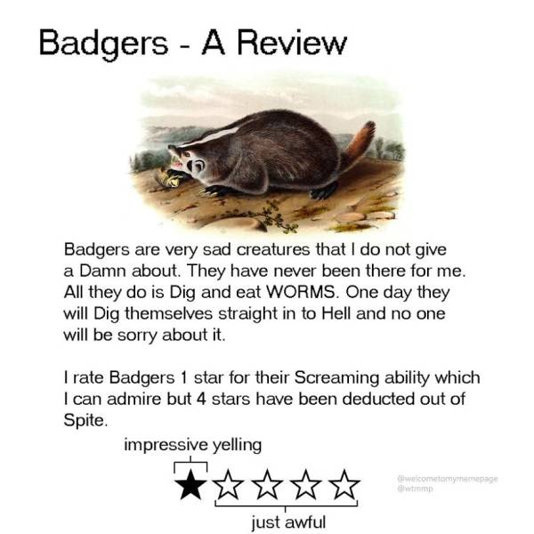 Animal Reviews (16 pics)