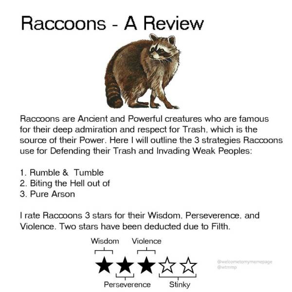 Animal Reviews (16 pics)