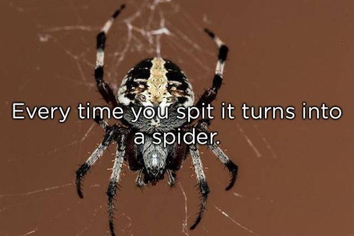 Parents Will Never Stop Lying To Their Children (20 pics)