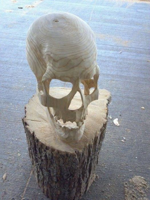 Acid Picdump (99 pics)