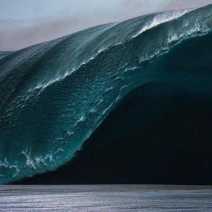 Acid Picdump (99 pics)
