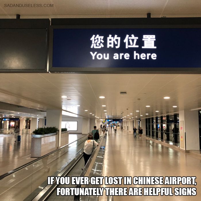 Seen At Airports (19 pics)