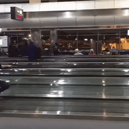 Seen At Airports (19 pics)