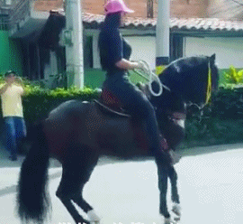 Acid Gifdump, July 25, 2018 (25 gifs)