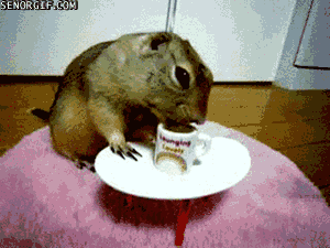 Acid Gifdump, July 25, 2018 (25 gifs)