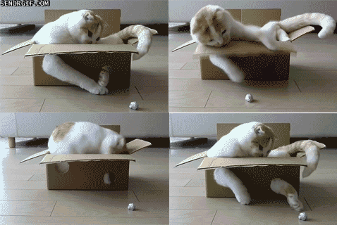 Acid Gifdump, July 25, 2018 (25 gifs)