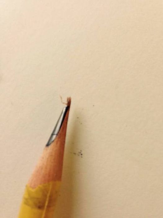 Things We Hate (57 pics)