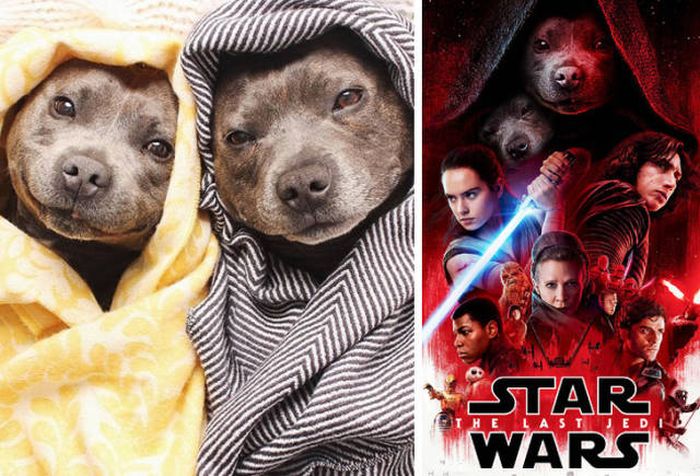 Very Funny Photoshops (34 pics)