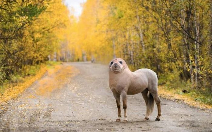 Very Funny Photoshops (34 pics)