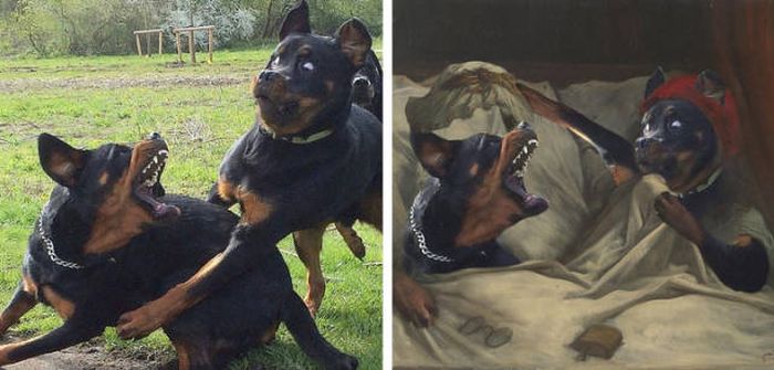 Very Funny Photoshops (34 pics)