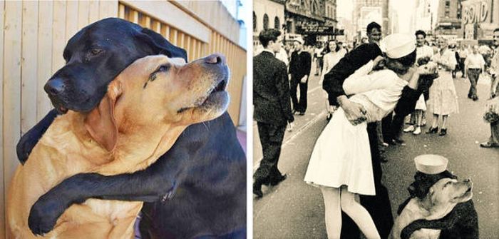 Very Funny Photoshops (34 pics)