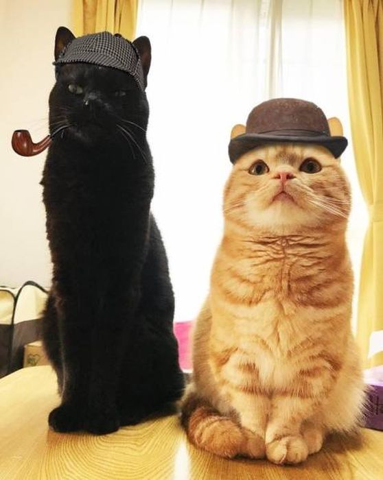 Very Funny Photoshops (34 pics)