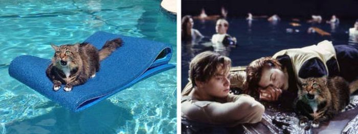 Very Funny Photoshops (34 pics)