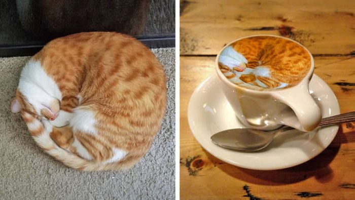 Very Funny Photoshops (34 pics)