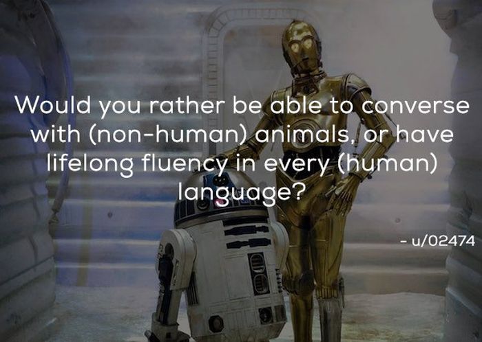 Would You Rather Questions (21 pics)