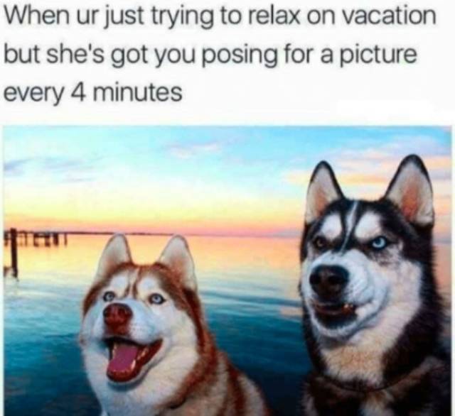 Vacation Memes (22 pics)