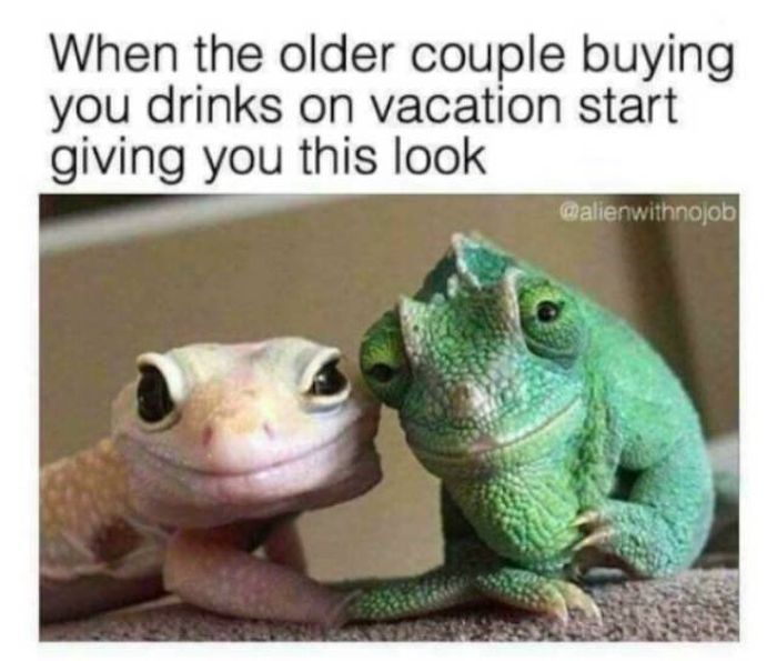 Vacation Memes (22 pics)