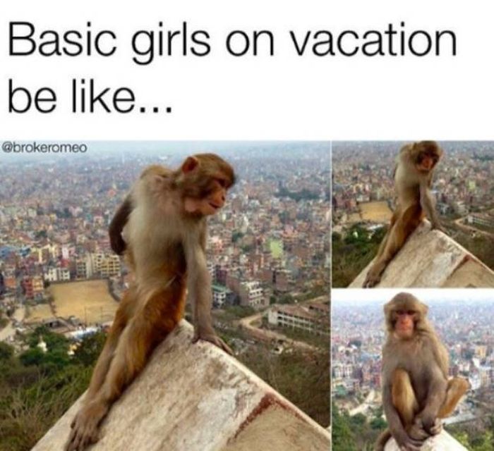 Vacation Memes (22 pics)