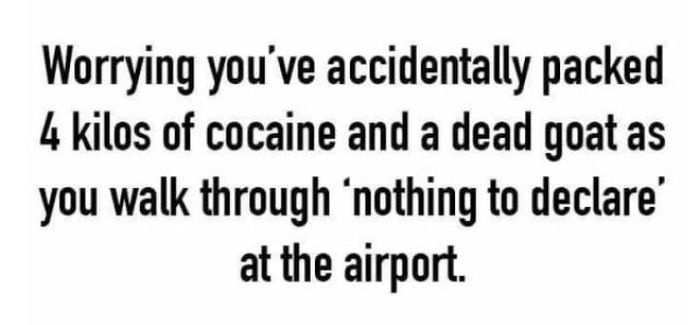 Vacation Memes (22 pics)