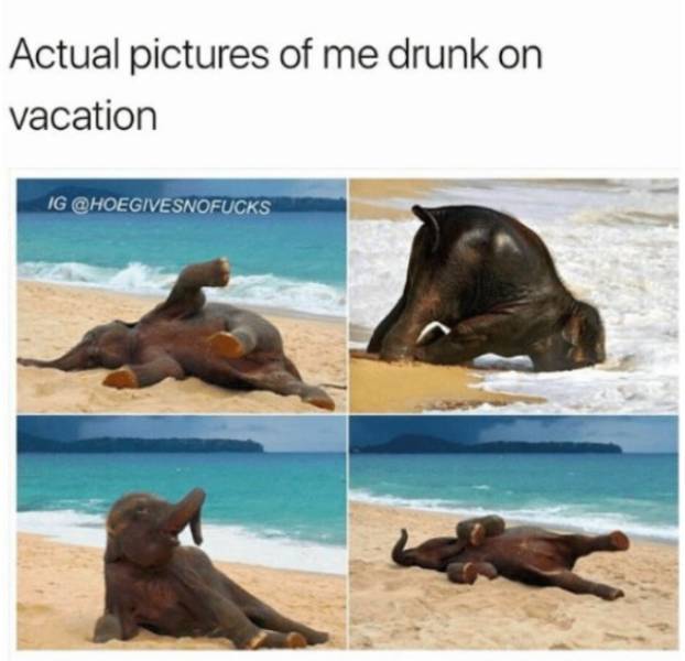 Vacation Memes (22 pics)