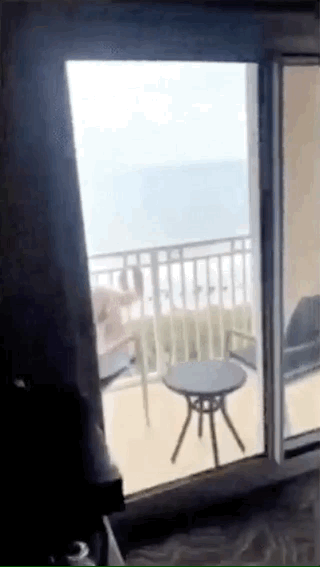 Fail Gifs (18 gifs)