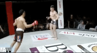 Fail Gifs (18 gifs)