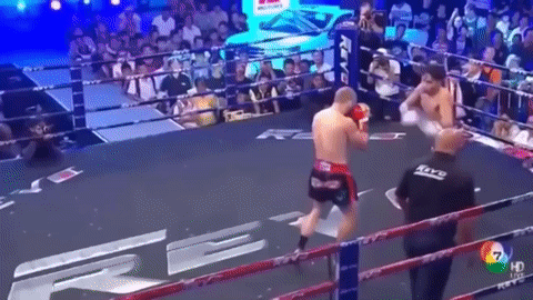 Acid Gifdump, July 26, 2018 (25 gifs)