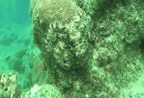 Acid Gifdump, July 26, 2018 (25 gifs)