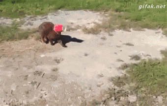 Acid Gifdump, July 26, 2018 (25 gifs)