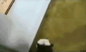 Acid Gifdump, July 26, 2018 (25 gifs)