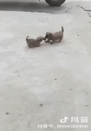 Acid Gifdump, July 26, 2018 (25 gifs)