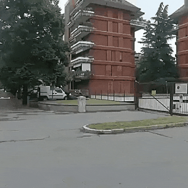 Acid Gifdump, July 26, 2018 (25 gifs)