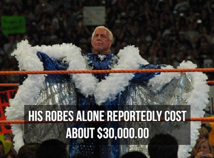 Facts About Ric Flair (9 pics)