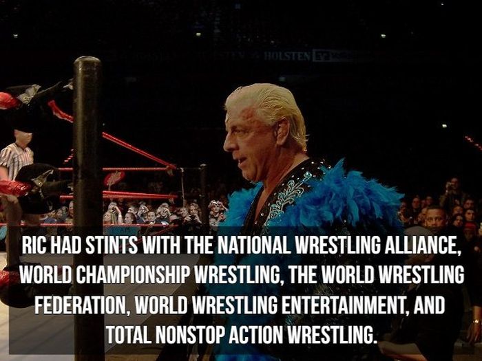 Facts About Ric Flair (9 pics)