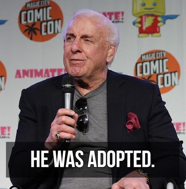 Facts About Ric Flair (9 pics)