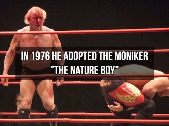 Facts About Ric Flair (9 pics)