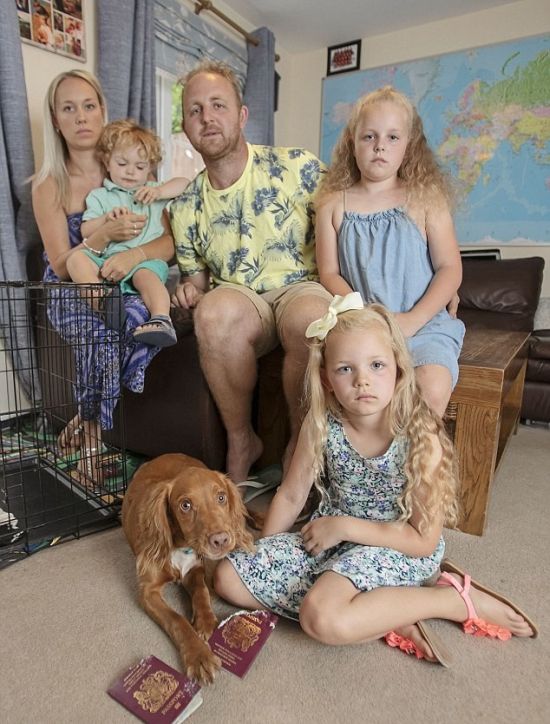 The Family Missed Their Vacation Because Of A Puppy Who Has Eaten A Passport (2 pics)