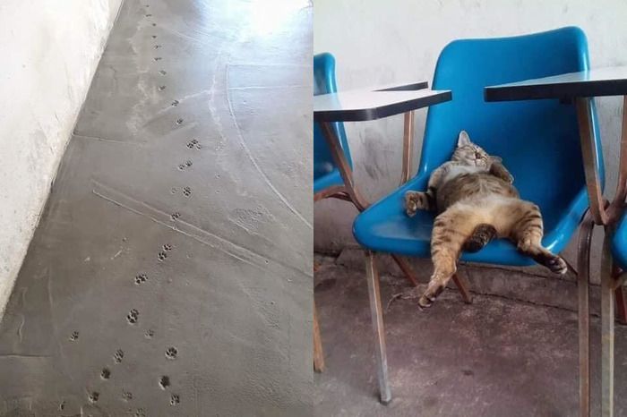 Acid Picdump (97 pics) Acid Picdump (97 pics)