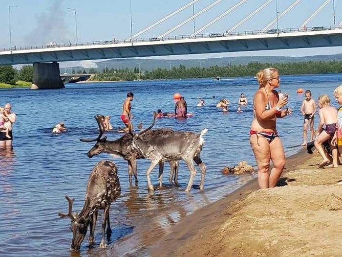 Acid Picdump (97 pics)