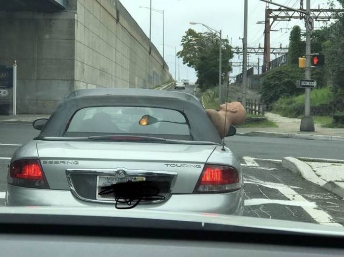 Acid Picdump (97 pics) Acid Picdump (97 pics)