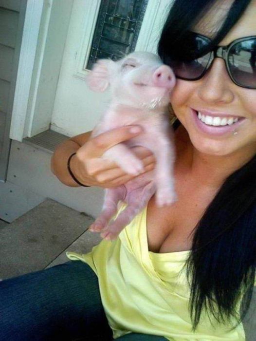 Acid Picdump (97 pics)