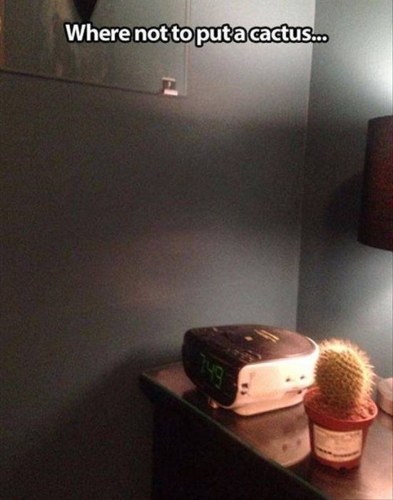 Acid Picdump (97 pics)