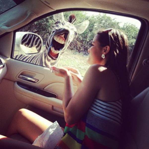 Acid Picdump (97 pics)