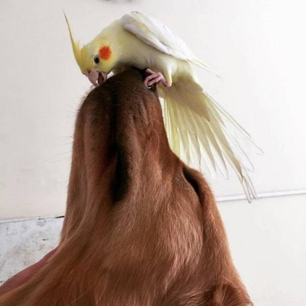 Acid Picdump (97 pics)