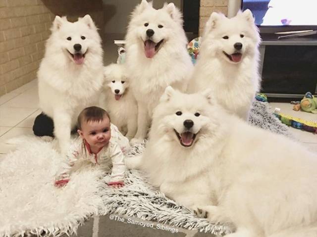 Acid Picdump (97 pics)