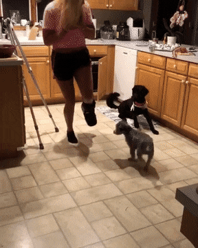 Acid Gifdump, July 27, 2018 (25 gifs)