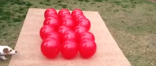 Acid Gifdump, July 27, 2018 (25 gifs)